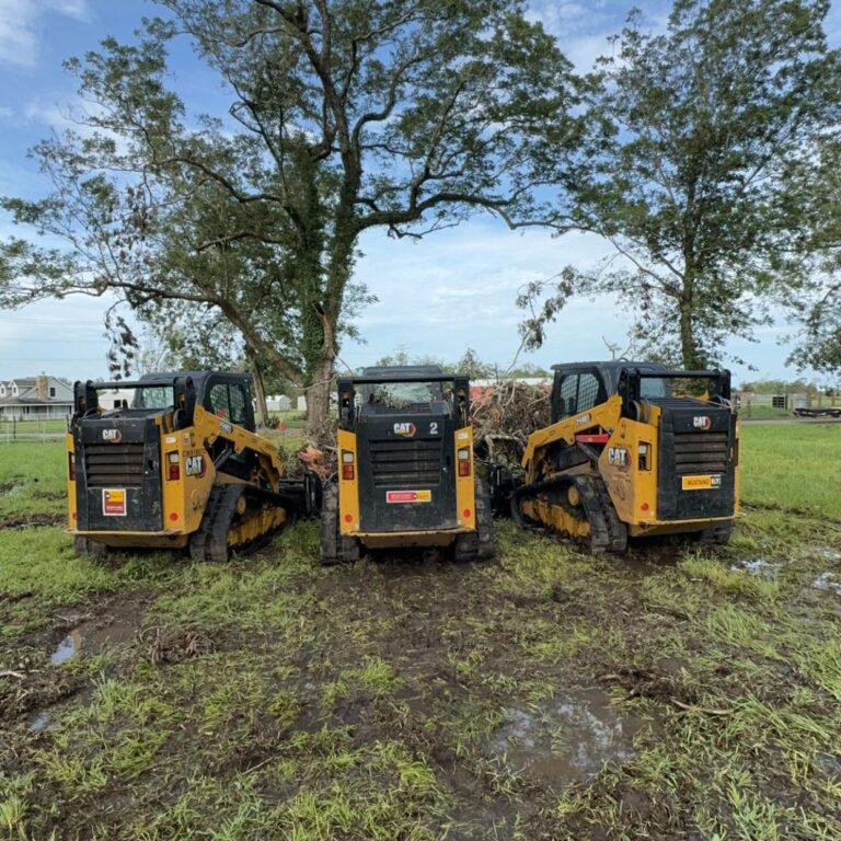 3xCat