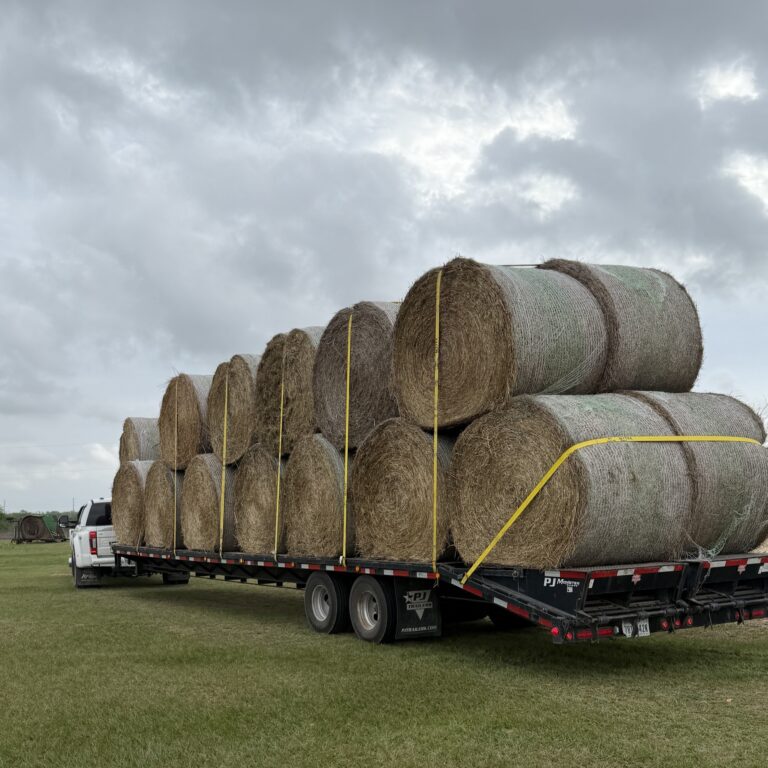 hayTransport