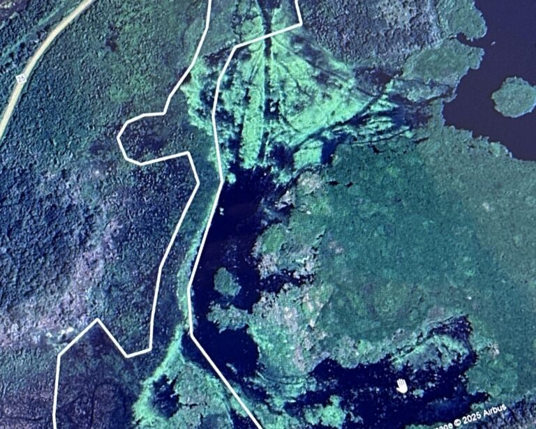 mapping1