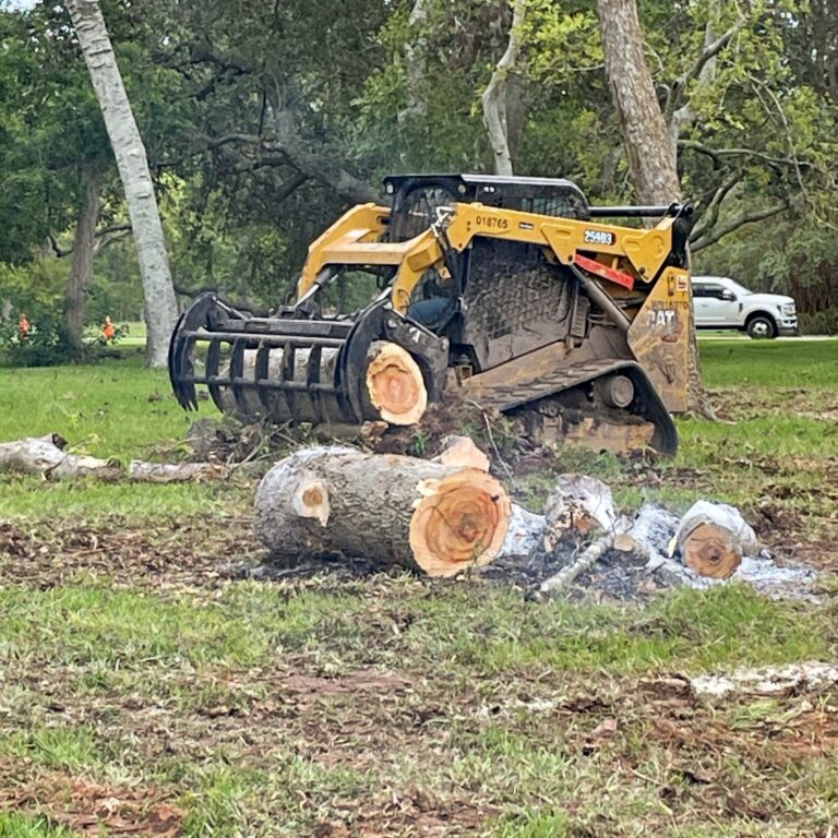 skidsteer4