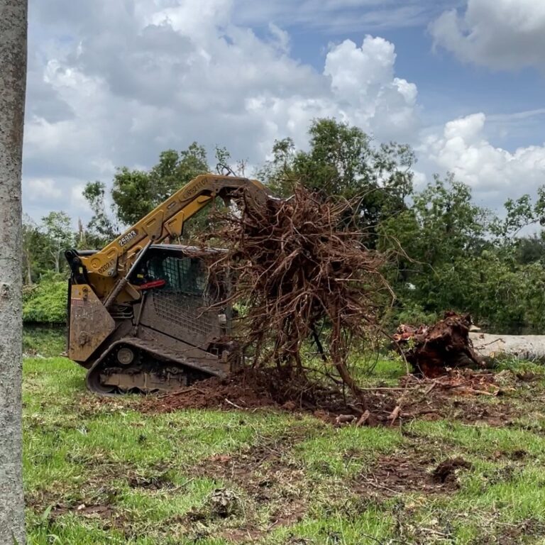 skidsteer8